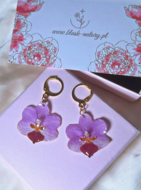 Eleganckie kolczyki z kwiatami – unikatowa biżuteria z prawdziwą orchideą